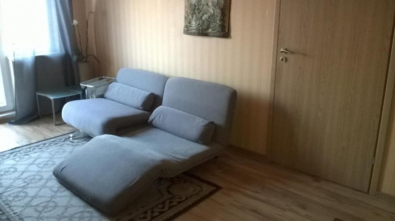 Convenient Location Apartment Вилнюс Екстериор снимка
